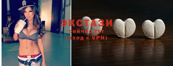 стаф Горняк
