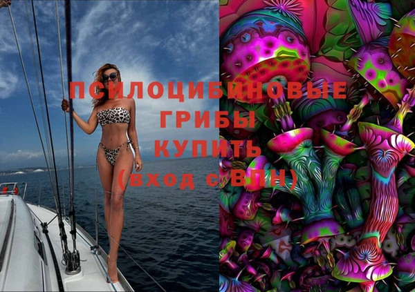 крисы Михайловск