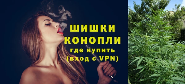 гашик Горнозаводск