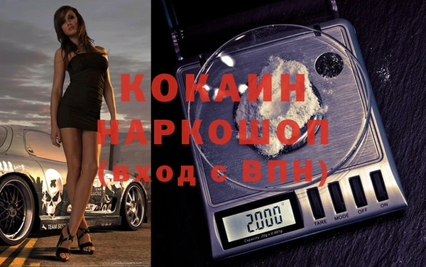стаф Горняк