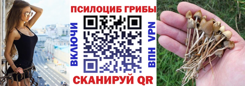 hydra как зайти наркотики Жирновск Галлюциногенные грибы MAGIC MUSHROOMS
